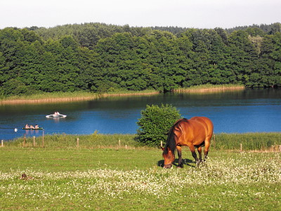 Blick auf den Dreetzsee