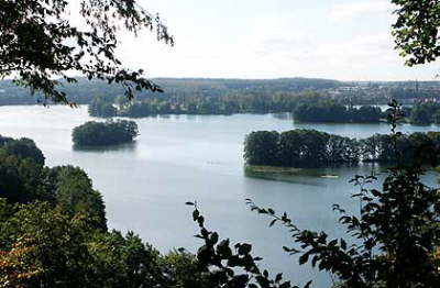 Haussee