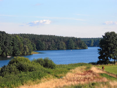 Dreetzsee